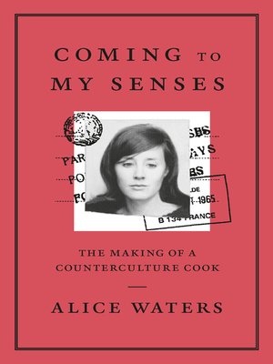 Coming to My Senses - ebook